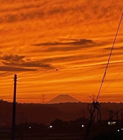 体験レッスン予約は来年再開♪